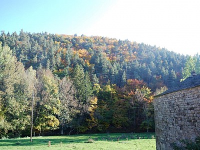 Automne_allenc (15)